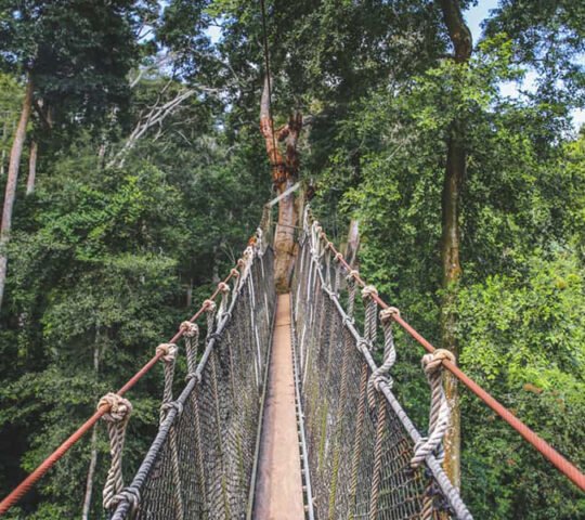 Kakum National Park