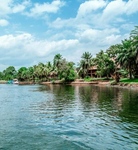 Invoice_Free_Package_04