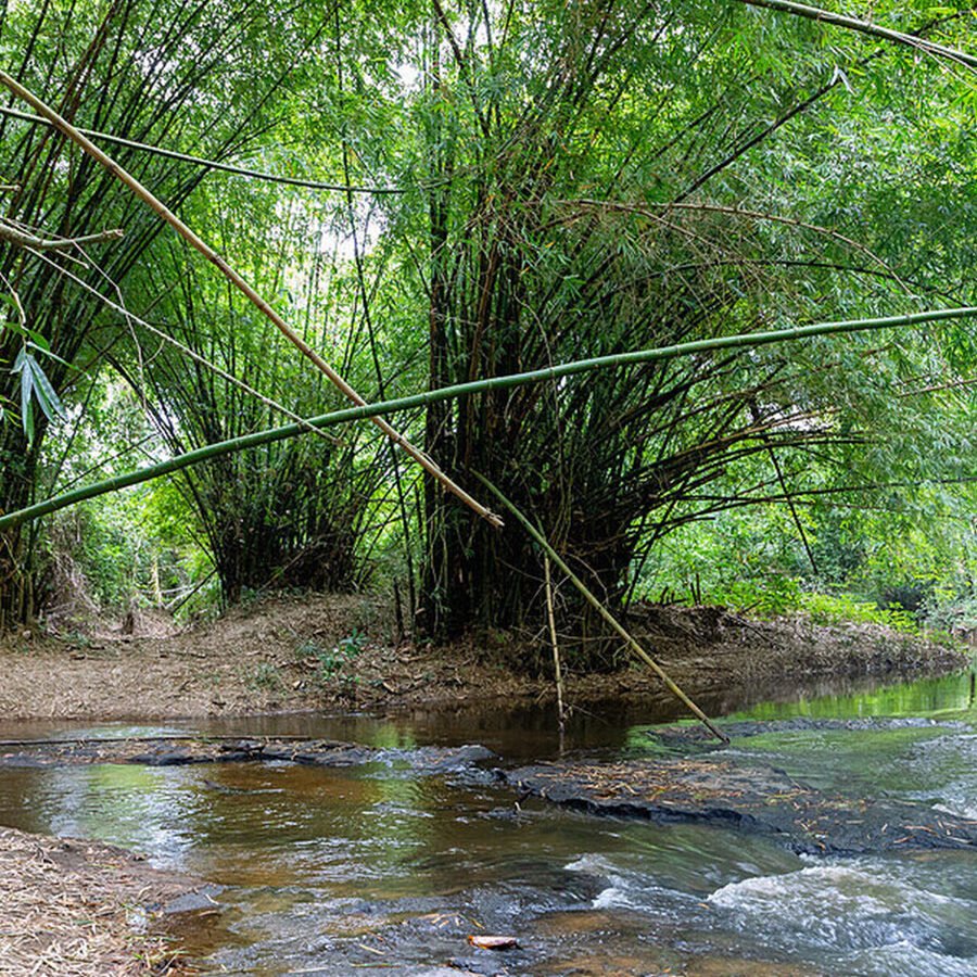 Assin Manso Slave River, Visit Ghana Guide